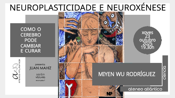 2025-10-23 Neuroplasticidade e Neuroxenese
