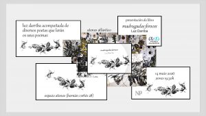 2026-05-14-Madrugadas-1600x900